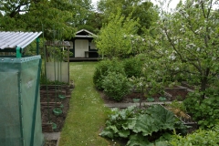 Was da alles wächst....