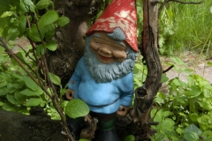 Erholung nicht nur für Zwerge...