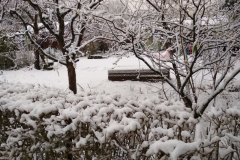 Wir wollen weiter Schnee im Winter haben!