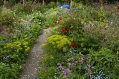 Immer was zu entdecken...