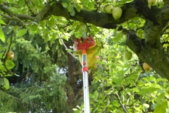 Und ab in den Magen...