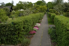 menschlicher Verkehrsweg